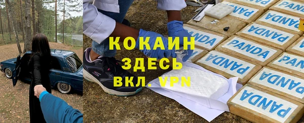 бошки Снежногорск