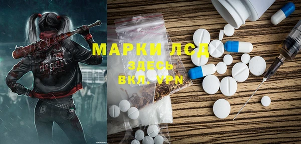 прущие грибы Волоколамск