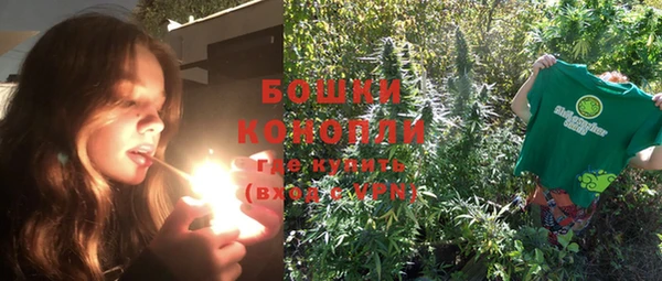 прущие грибы Волоколамск