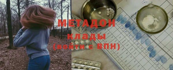 прущие грибы Волоколамск