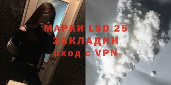 прущие грибы Волоколамск